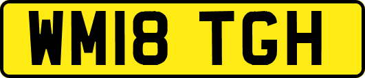 WM18TGH