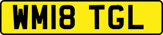 WM18TGL
