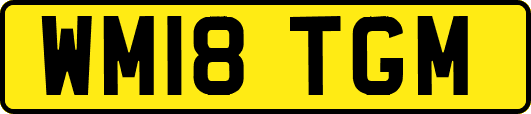 WM18TGM