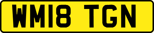 WM18TGN