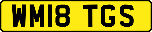 WM18TGS
