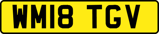 WM18TGV
