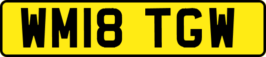 WM18TGW