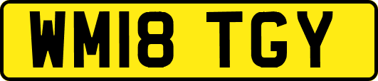 WM18TGY