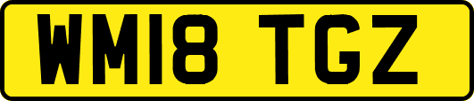 WM18TGZ