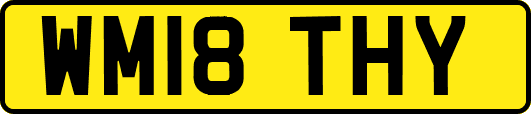 WM18THY