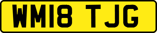 WM18TJG