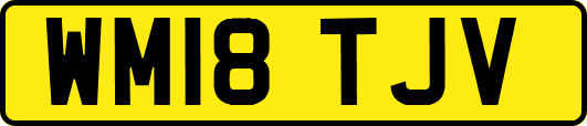 WM18TJV