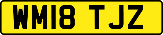 WM18TJZ