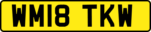 WM18TKW