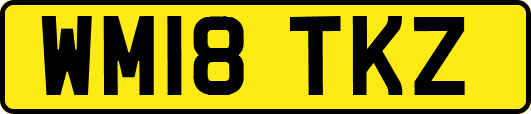 WM18TKZ