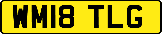 WM18TLG