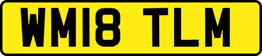 WM18TLM