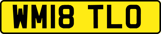 WM18TLO