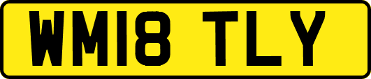 WM18TLY