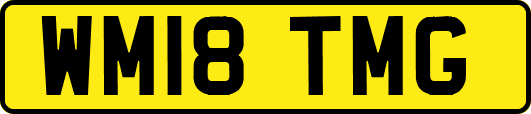 WM18TMG