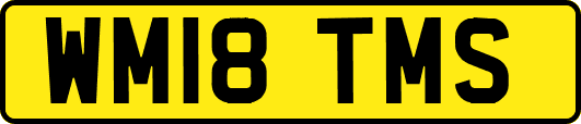 WM18TMS