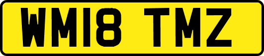 WM18TMZ