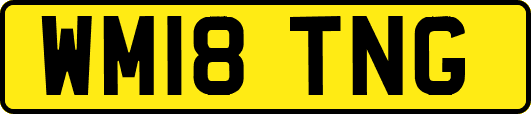 WM18TNG
