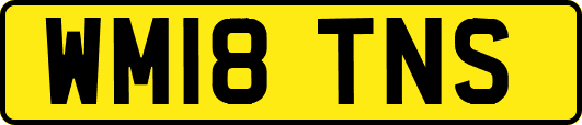WM18TNS