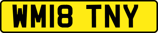 WM18TNY