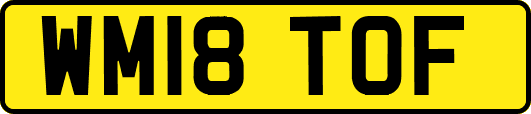 WM18TOF