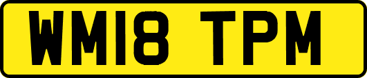 WM18TPM