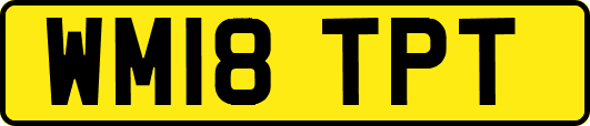 WM18TPT