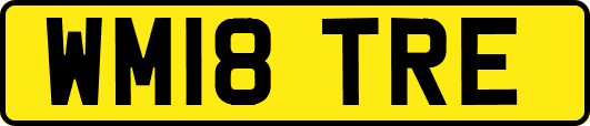 WM18TRE