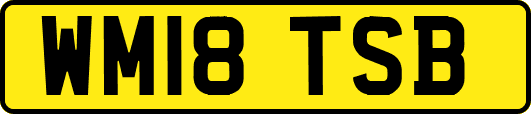WM18TSB