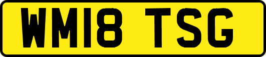 WM18TSG
