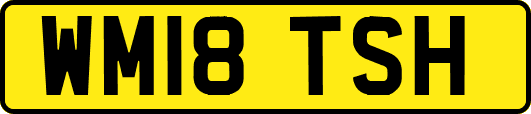 WM18TSH
