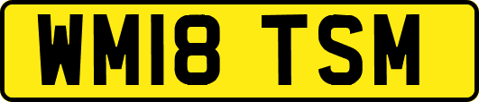 WM18TSM