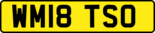 WM18TSO