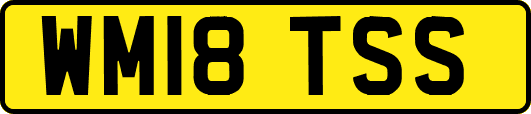 WM18TSS