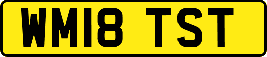 WM18TST