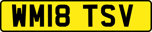 WM18TSV