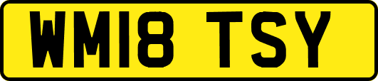 WM18TSY