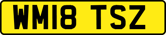 WM18TSZ