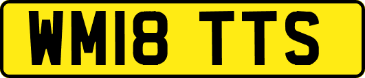 WM18TTS