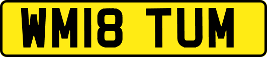 WM18TUM