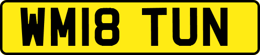 WM18TUN
