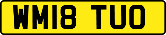 WM18TUO