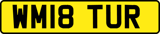 WM18TUR