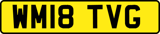 WM18TVG