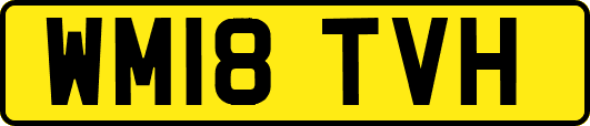 WM18TVH