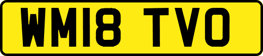 WM18TVO