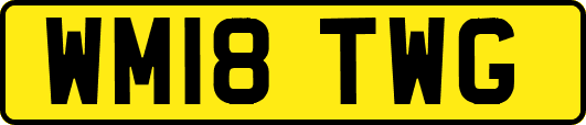 WM18TWG