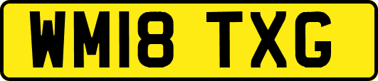 WM18TXG