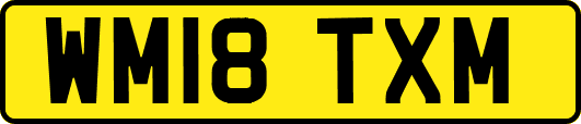 WM18TXM